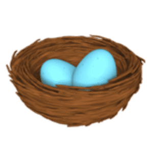 Picture of Day: May 21, 2025